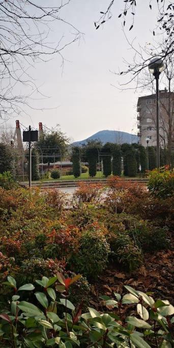 Blue Breeze Apartment Germignaga 外观 照片